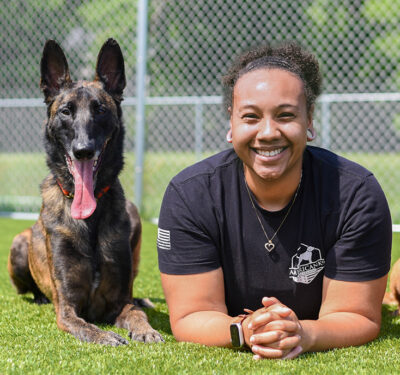 Dog Training Course with Personal Instructor [Online Classes]